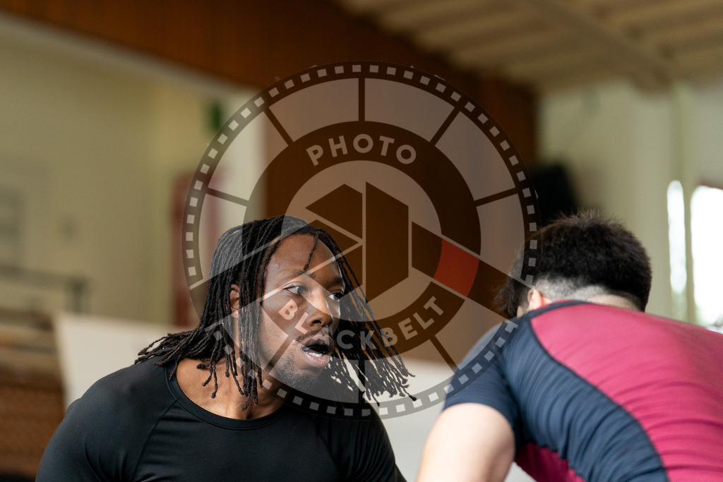 20250628PBB6888 | Athletes compete during the ILLCS X, International Luta Livre Championship Summer Edition on June 28, 2025 in Hannover, Germany. © Chiara Dazi / photoblackbelt