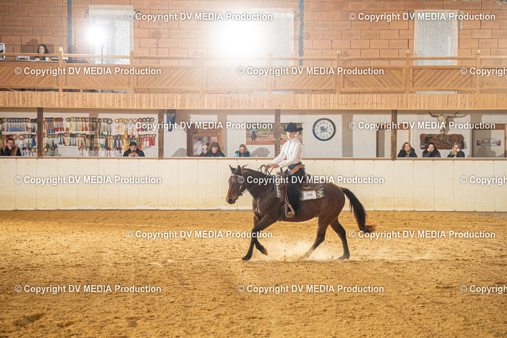 MIT00723 | dv-media-shop - Realisiert mit Pictrs.com