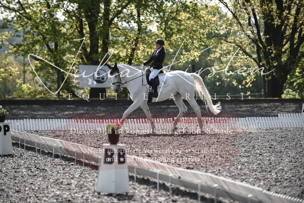 20230513_JK-Röhrsdorf-14-381 | Pferde- und Turnierfotografie in Westsachsen. Pferdeportraits, Auftragszeichnungen und intuitive Kunst.