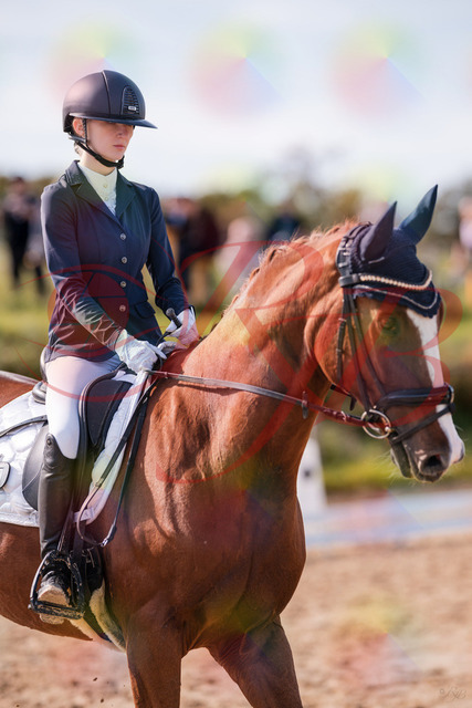 2026_10_03_Siefer-Hof_123414_Z81_31975338 | Professionelle Reitsport-, Turnier- und Eventfotografie von Robert Broda. Galerien mit ausgewählten und bearbeiteten Bildern direkt online ansehen und bestellen.