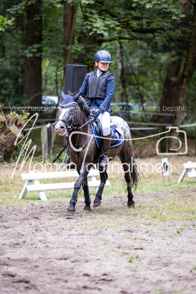 HB-Caprilli-035 | MomenTaufnahmen Pferdesportfotos