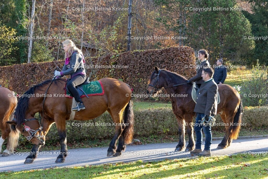 LL24-176 | foto-bettina-krinner - Realisiert mit Pictrs.com