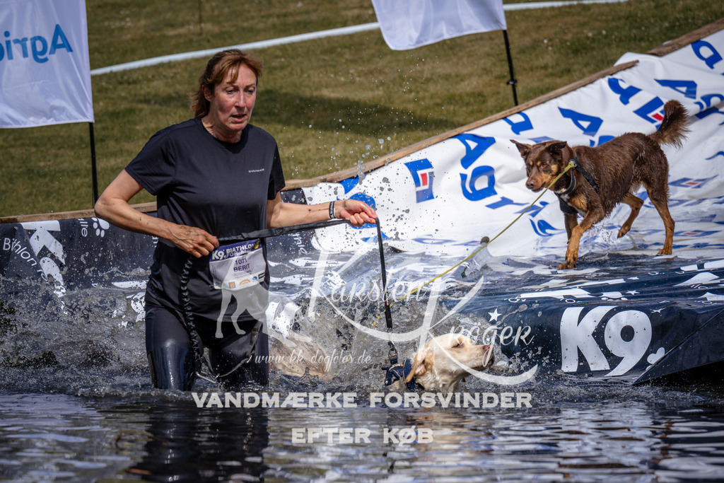 _ZZ906150903 | kk-dogfotos