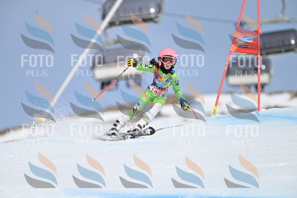 BGV_0231 | holidayphoto