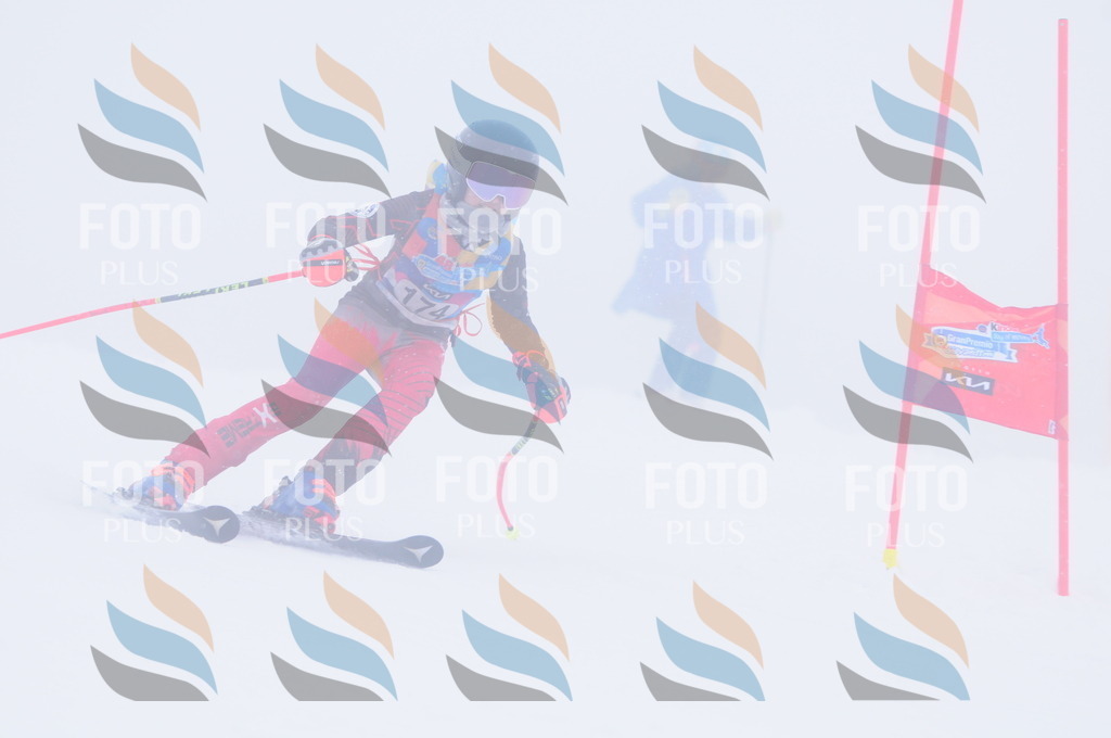 C2022 | holidayphoto