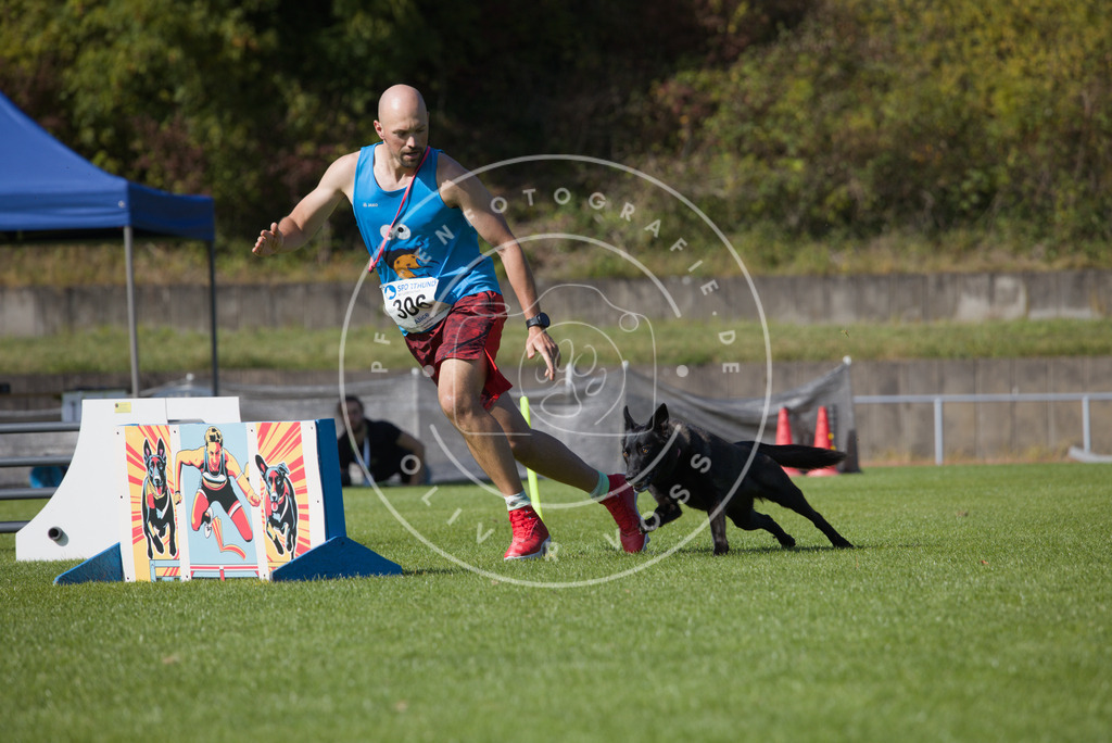 0L8A8174 | Hundefotografie, Tierfotograf, Pfotenfotografie, Fotoshooting Hund, Hunde Portrait, Hundesport, Hundeportraits, Heideshooting, Hunde, Sportfotograf, Hundefotograf, Turnierhundsport, THS,  - Realisiert mit Pictrs.com