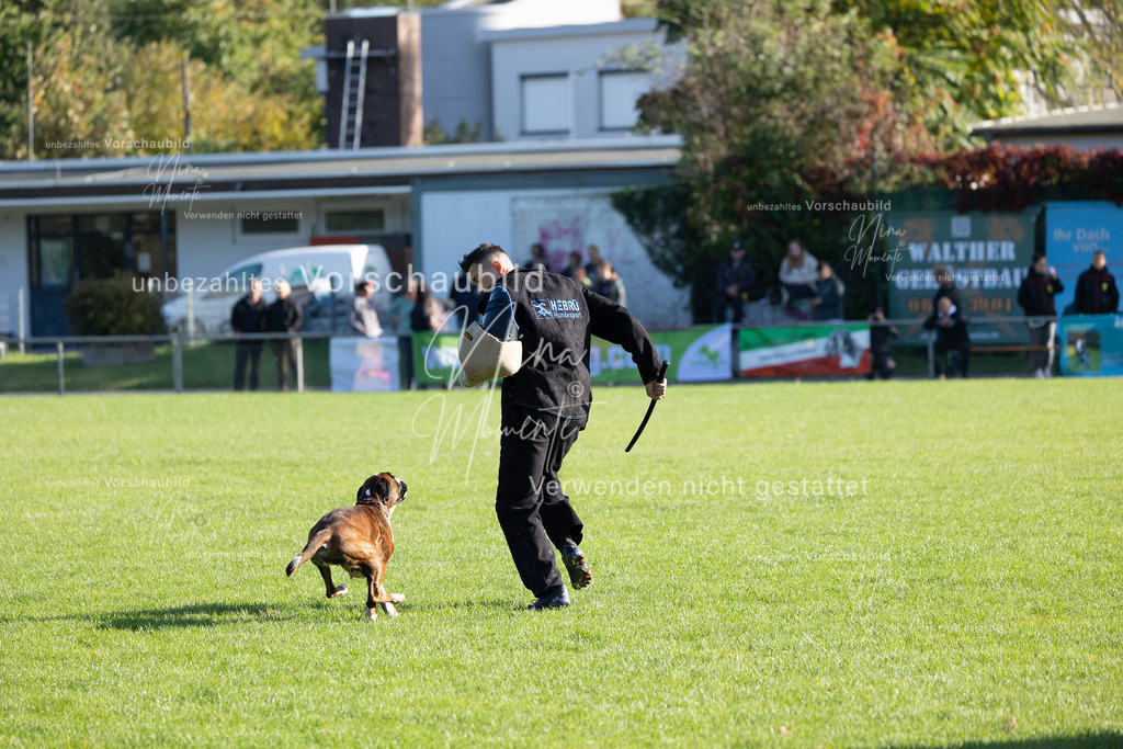 _16A5104 | Einzigartige Fotos von Hunden & Menschen –Actionfotos, Portraits, Vereinsaufnahmen & Paarshootings – authentisch, lebendig & mit Herz.