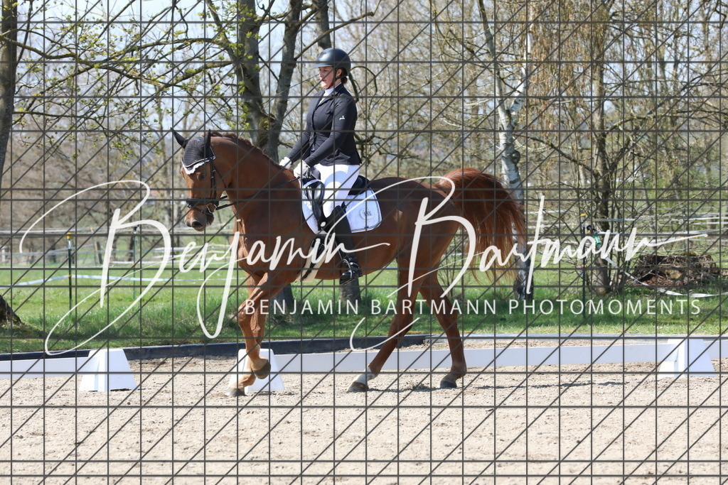 AZ2A5284 | Benjamin Bartmann Photomoments