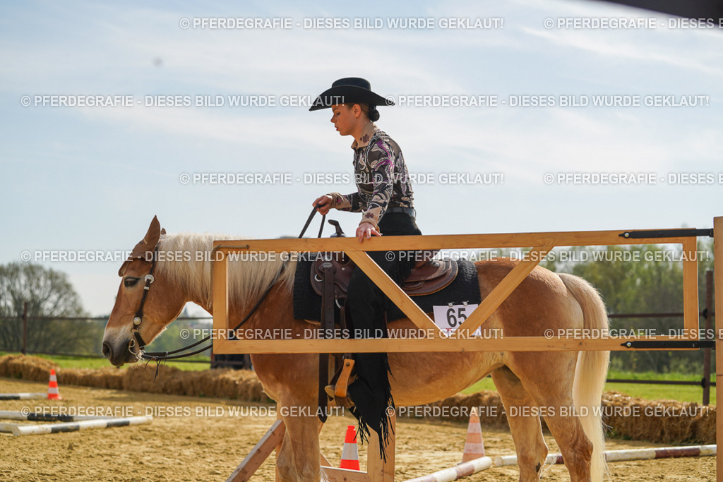 DSC01692 | Pferdegrafie