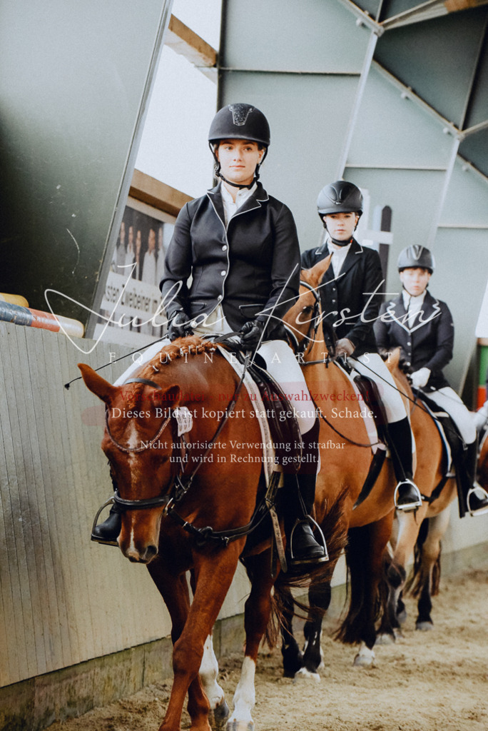 DSC_7274 | Pferde- und Turnierfotografie in Westsachsen. Pferdeportraits, Auftragszeichnungen und intuitive Kunst.