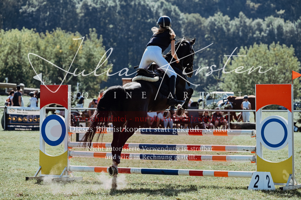 DSC_5912 | Pferde- und Turnierfotografie in Westsachsen. Pferdeportraits, Auftragszeichnungen und intuitive Kunst.