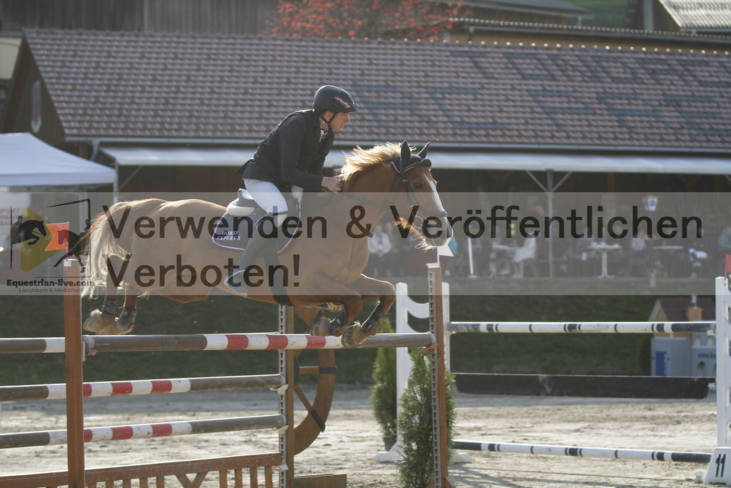 _MG_1498 | equestrian-live-com