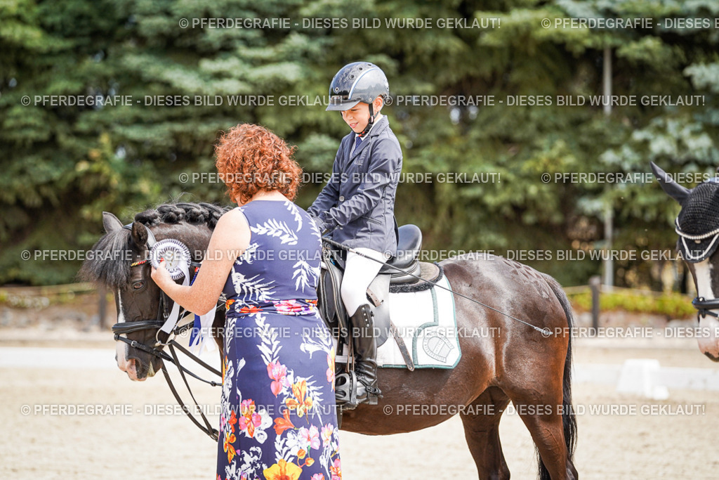 DSC02869 | Pferdegrafie