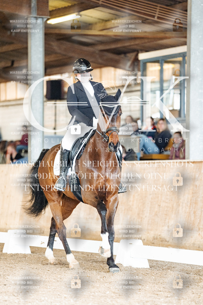 CK901640 | Turnierfotografie Pferdefotografie Trier Rheinland-Pfalz Pferdesport Reitsport Tierfotografie Sportfotografie Pferdevideo Pferdevideografie Equestrianvideography equestrianphotography  - Realisiert mit Pictrs.com