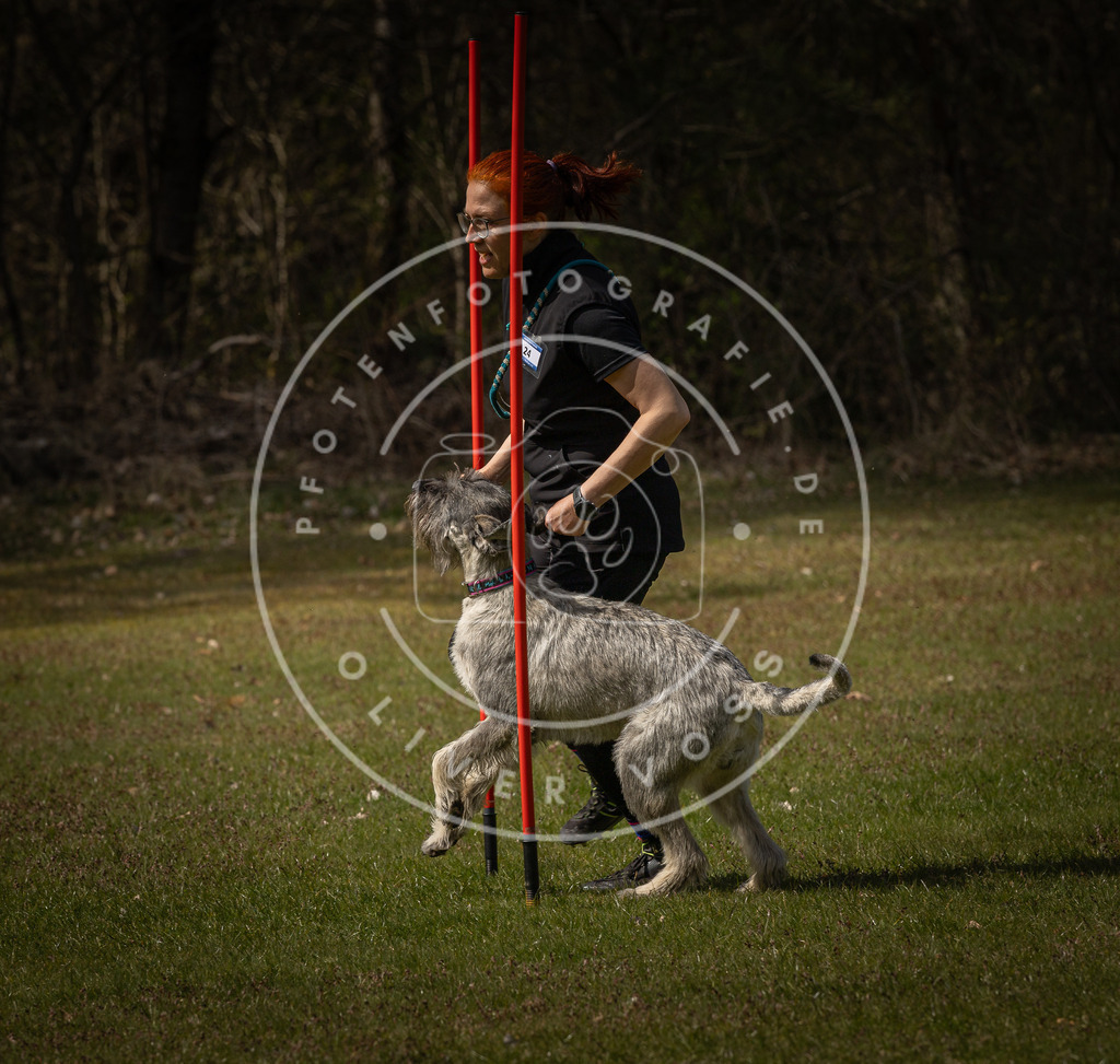 Pfotenfotografie_DV3A4556 | Hundefotografie, Tierfotograf, Pfotenfotografie, Fotoshooting Hund, Hunde Portrait, Hundesport, Hundeportraits, Heideshooting, Hunde, Sportfotograf, Hundefotograf, Turnierhundsport, THS,  - Realisiert mit Pictrs.com