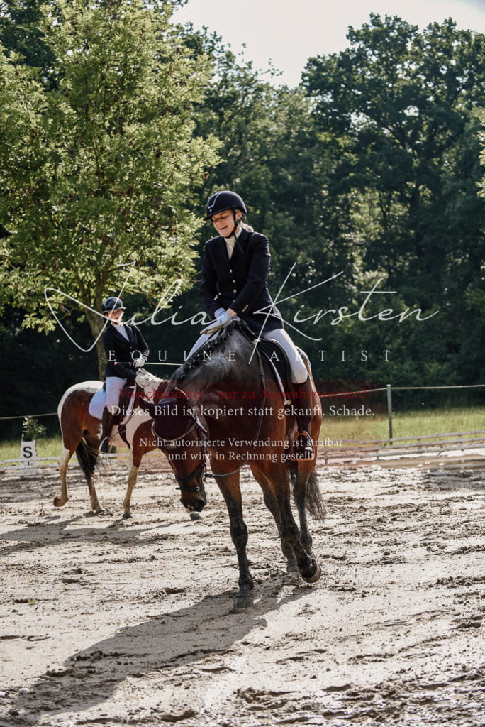 DSC_8830 | Pferde- und Turnierfotografie in Westsachsen. Pferdeportraits, Auftragszeichnungen und intuitive Kunst.