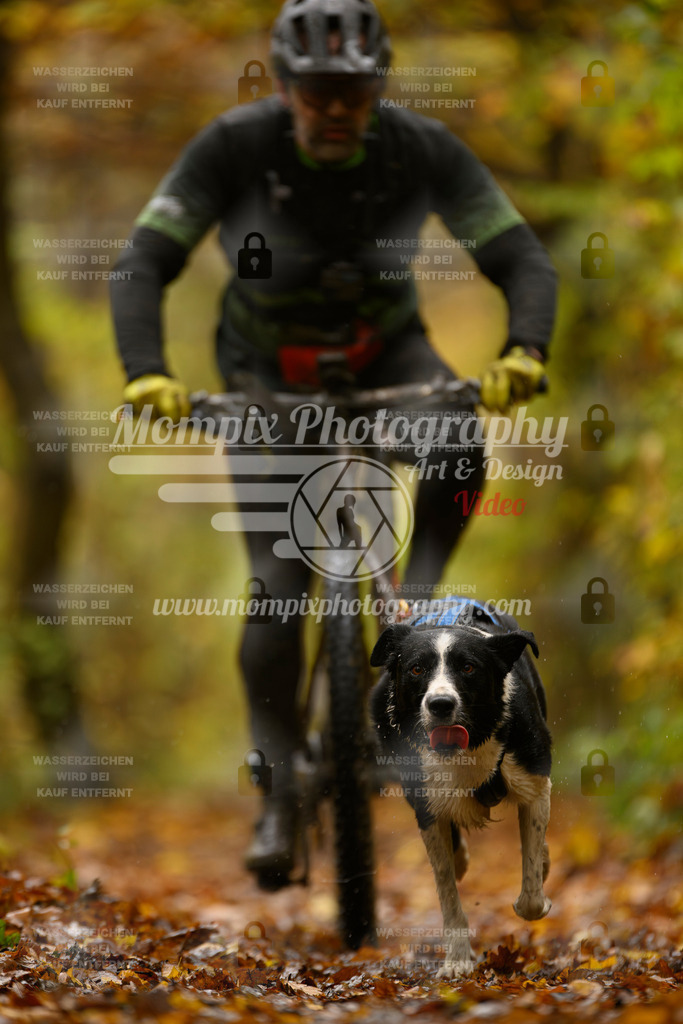 MompixPhotography_CD7S_DI_Bike-26 | mompixphotography