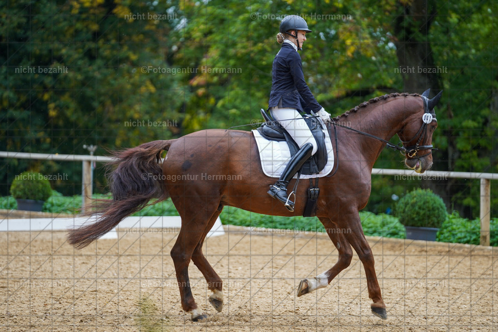 20221008-FAH01773 | Diessen am Ammersee, 2022, Dressur- und Springturnier, Reitsportbilder, Turnierfotografen Bayern, Pferdefotografen, Fotoagentur Herrmann, Turnierbilder