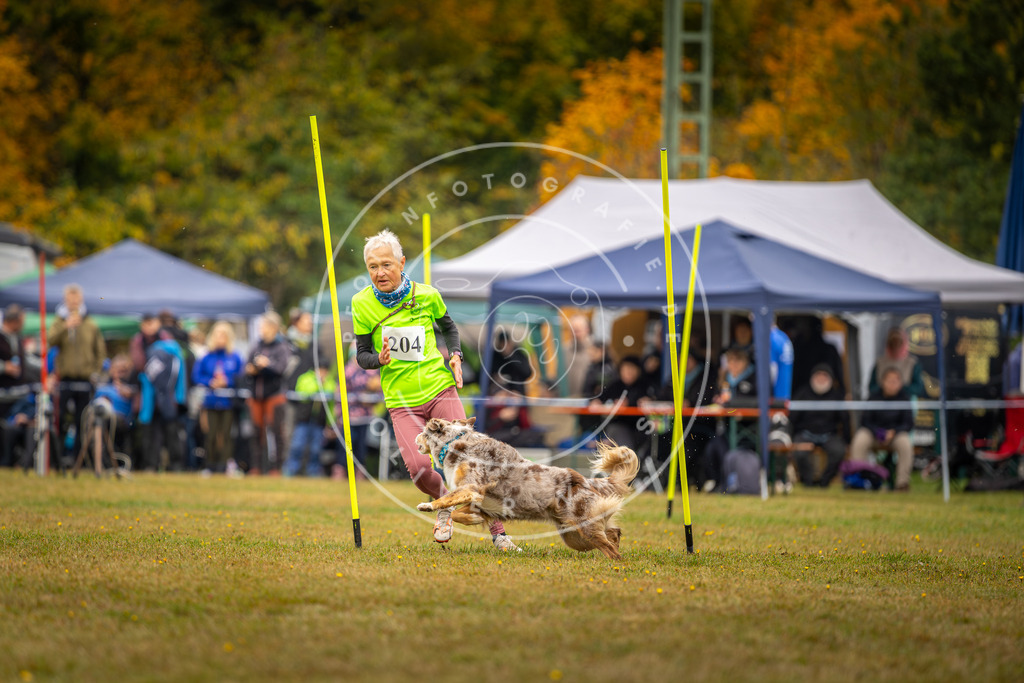 Pfotenfotografie_DV3A2048 | Hundefotografie, Tierfotograf, Pfotenfotografie, Fotoshooting Hund, Hunde Portrait, Hundesport, Hundeportraits, Heideshooting, Hunde, Sportfotograf, Hundefotograf, Turnierhundsport, THS,  - Realisiert mit Pictrs.com