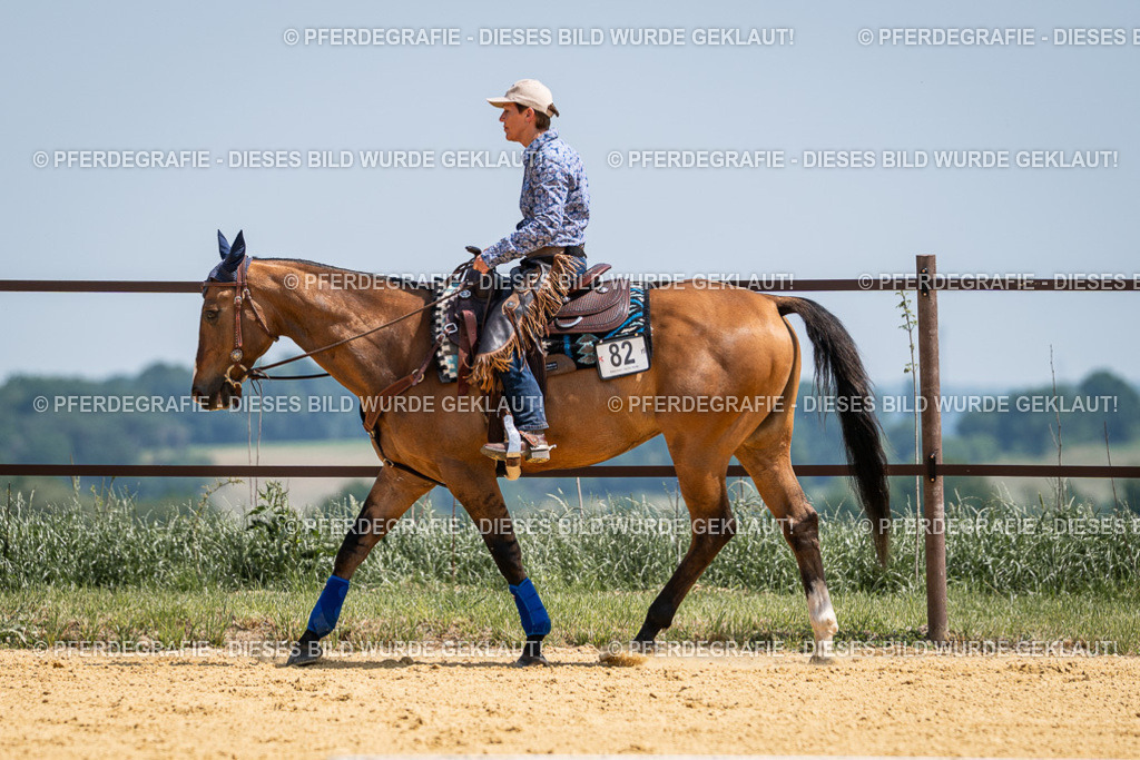 DSC01218 | Pferdegrafie