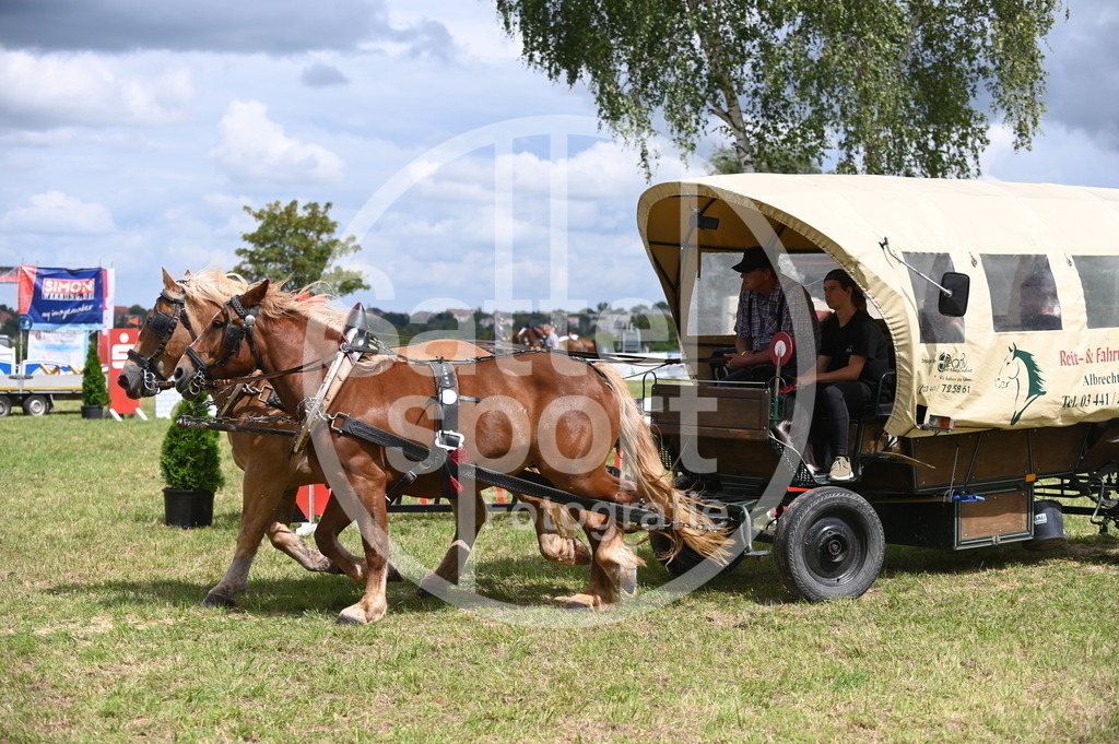 DSC_6964 | sattelsport - Realisiert mit Pictrs.com