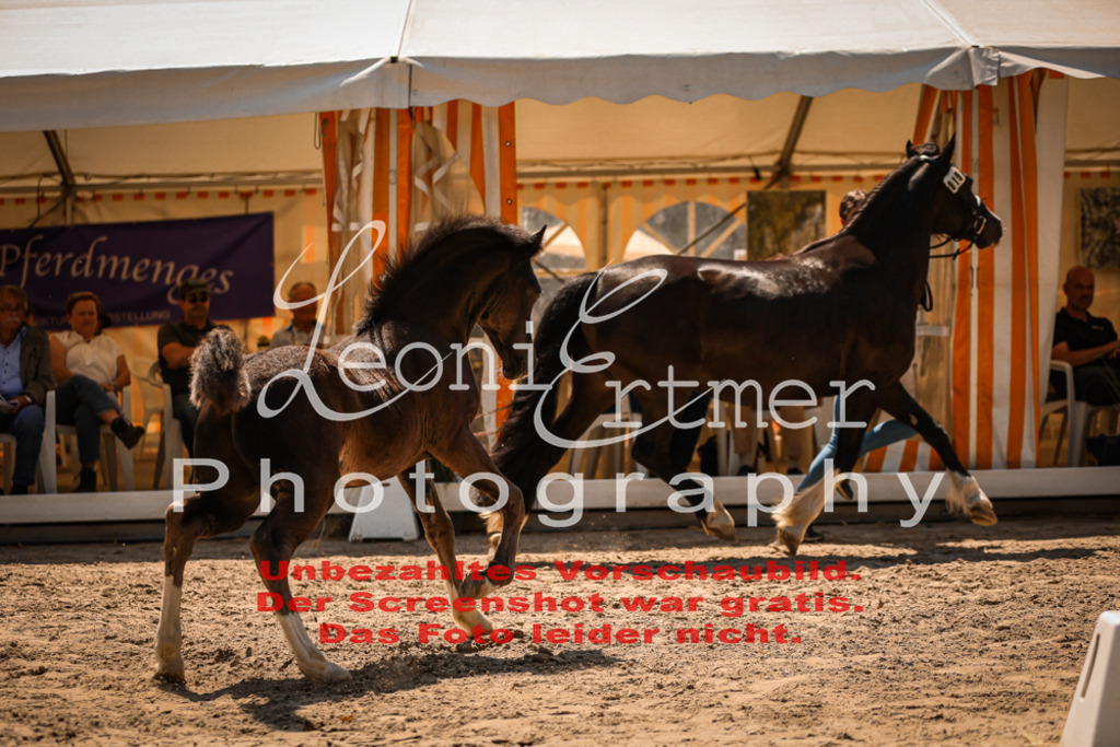 04.DoWP00095 | Leoni Ertmer Photography - Realisiert mit Pictrs.com