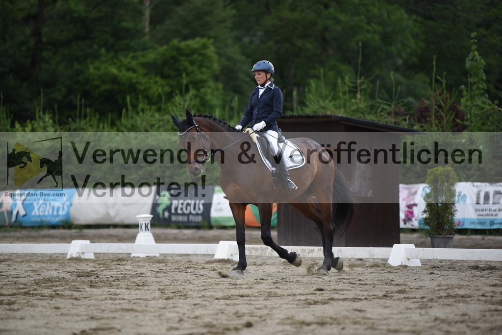DSC_6756 | equestrian-live-com
