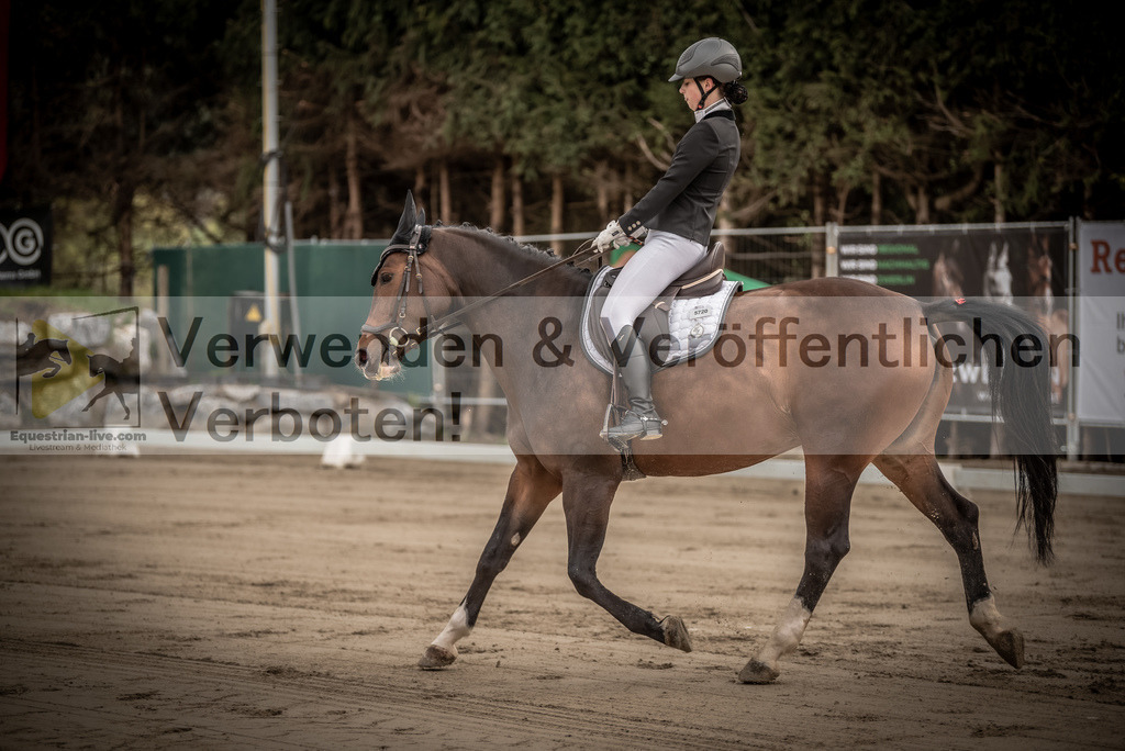 DSC_8138 | equestrian-live-com