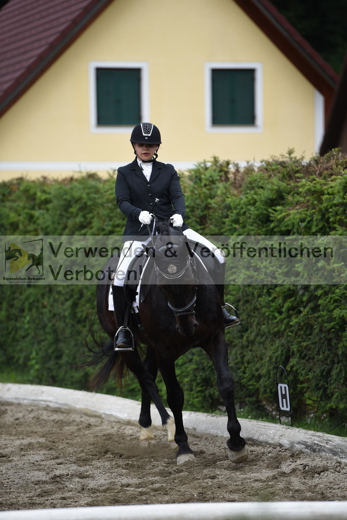 DSC_4862 | equestrian-live-com