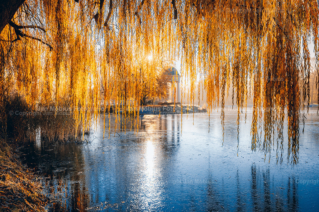 agra-Park | Leipzig Wandbilder Drucke Prints Leinwand Stadtmotive Leipzig Fotosdruck Kunstdrucke Bilder Leipzig Stadtansichten Acrylglasbilder Leipzig Wanddeko Fine Art Prints Wandbilder Büro Leipzig Bilder Praxis Zuhause Bilderdruck Poster Posterlounge Kunstdrucke - Realisiert mit Pictrs.com