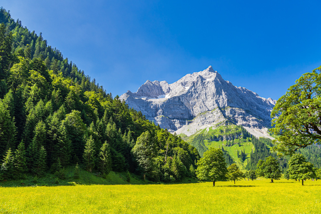 Der Große Ahornboden im Rißtal bei der Eng Alm in Österreich | Der Große Ahornboden im Rißtal bei der Eng Alm in Österreich.