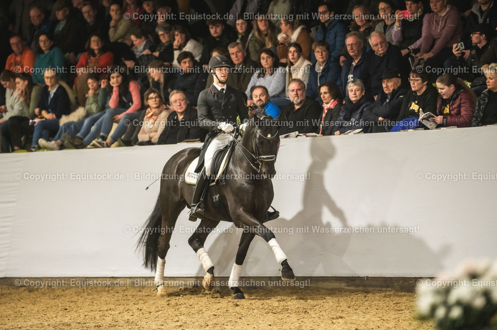 20240302_Hengstvorstellung_Marbach_TOMsPiC_1510-2 | equistock
