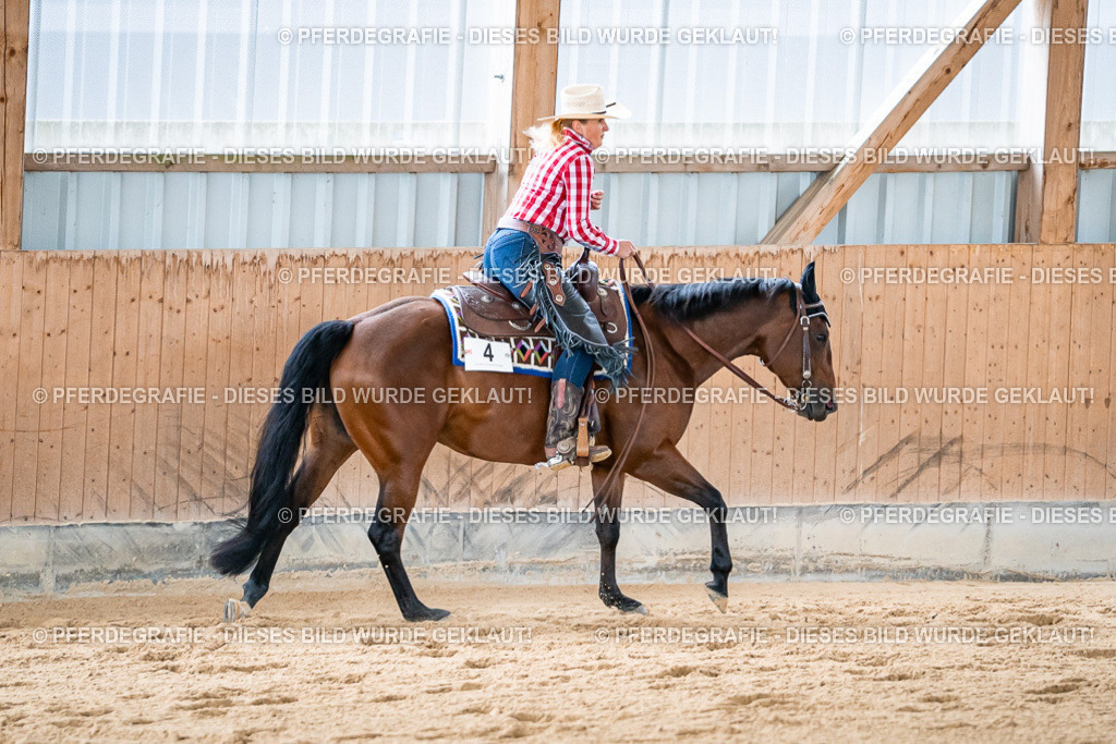 DSC08809 | Pferdegrafie