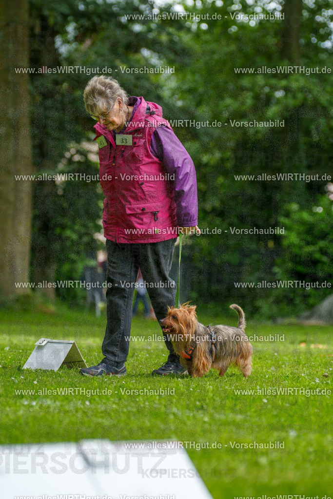 @allesWIRTHgut_Tierfotografie - www.allesWIRTHgut.de - 122147-7R508894 | Professionelle Tierfotografie in Mönchengladbach von Daniel Wirth (allesWIRTHgut). Liebevolle & natürliche Bilder von Hunden & Katzen für unvergessliche Erinnerungen.
