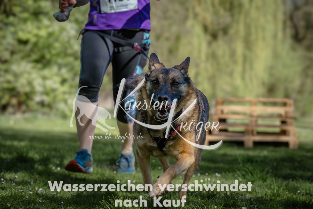 1011_ZZ94668 | kk-dogfotos