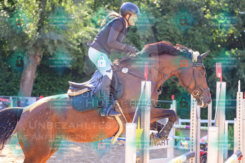 30082026-Giesenbach-Prfg16-0291 | Fokus Hufschlag Fotografie - Realisiert mit Pictrs.com
