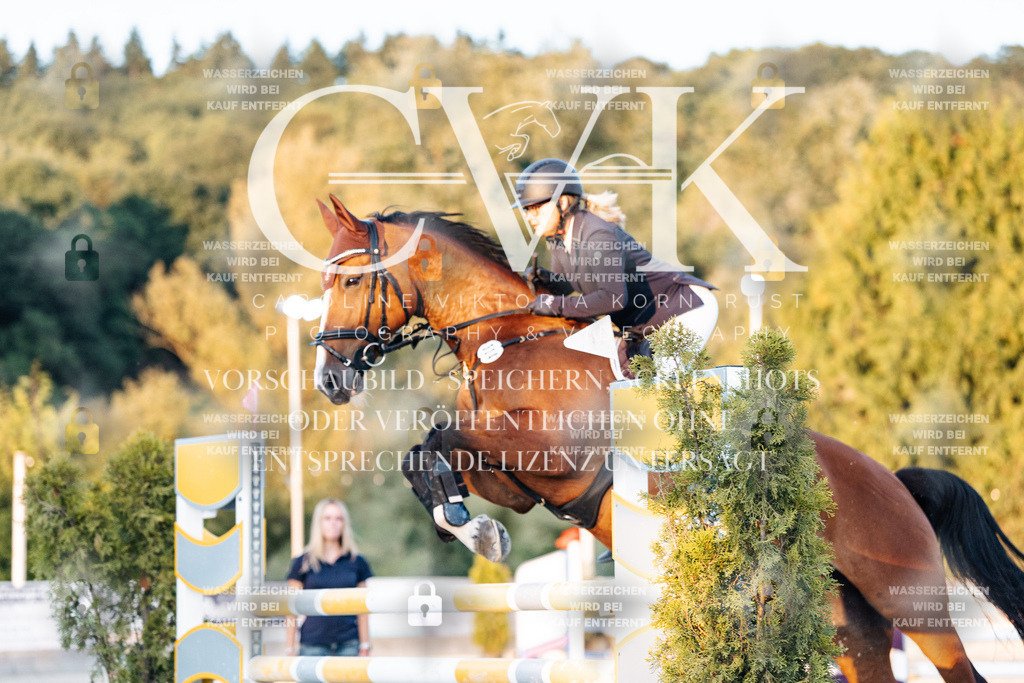 CK901195 | Turnierfotografie Pferdefotografie Trier Rheinland-Pfalz Pferdesport Reitsport Tierfotografie Sportfotografie Pferdevideo Pferdevideografie Equestrianvideography equestrianphotography  - Realisiert mit Pictrs.com