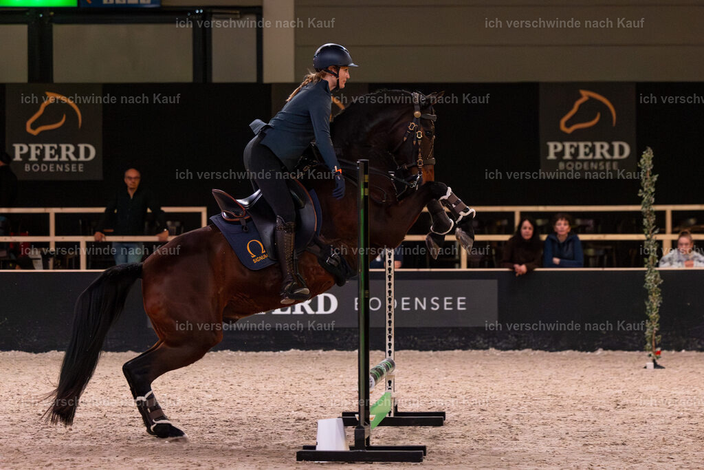JoseraCup-82 | working equitationturnier fotograf videograf stoibphotography marixx film working equitation deutschland reitsport turnierfotografie eventfotografie equestrian events