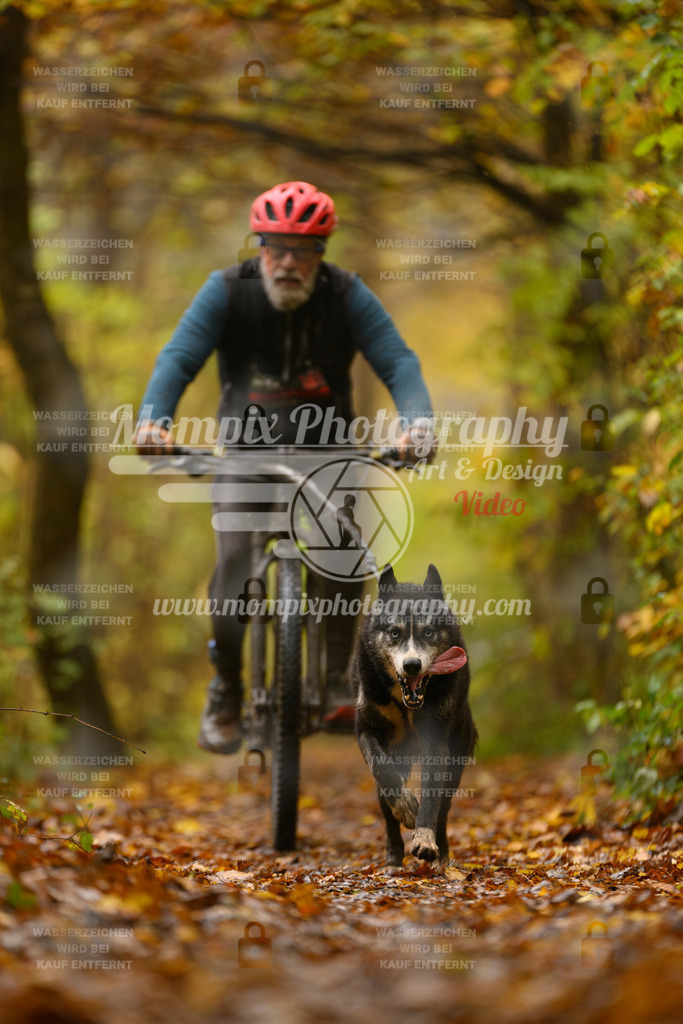 MompixPhotography_CD7S_DI_Bike-46 | mompixphotography