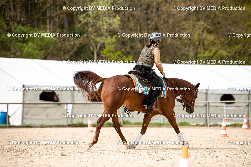 Heiligenwald Tag 1-785 | dv-media-shop - Realisiert mit Pictrs.com