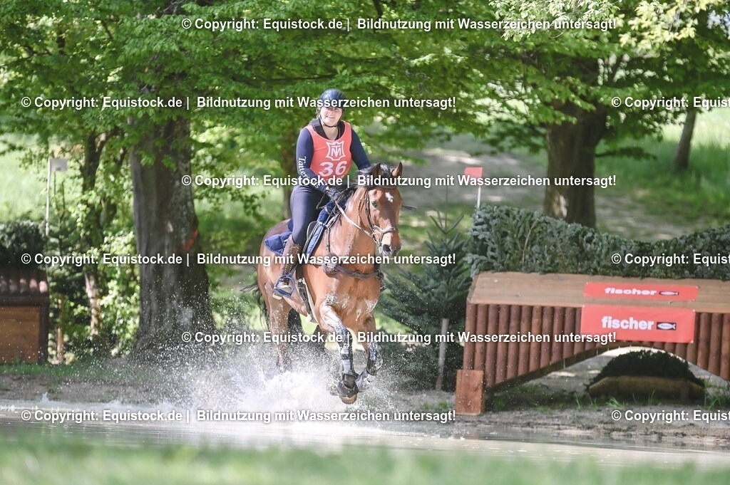 20250517_CCI2_Gelände_0935 | Foto: Thomas Hartig