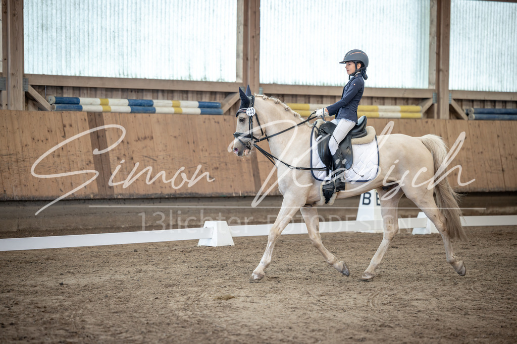 20251011-_3LI8409 | Tierfotografie Pferde, Hunde, Katzen, Haustiere.
Turnierfotografie Reitturniere, Reiten, Springreiten, Dressur in Hanau, dem Main-Kinzig-Kreis und dem Rhein-Main- Gebiet um Frankfurt
