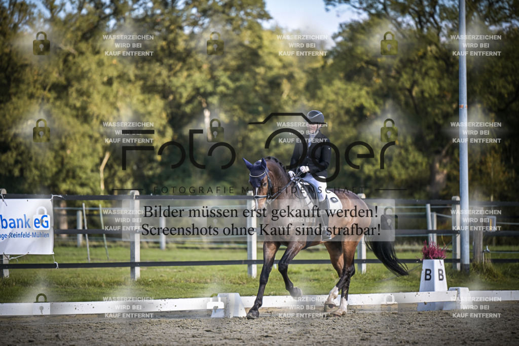 DOS_4817 | Entdecke hochwertige Reitturnierfotos von Foto Oger. Professionell, emotional und authentisch – jetzt Lieblingsmomente im Shop bestellen.Deutschlandweite Turnierfotografie. - Realisiert mit Pictrs.com