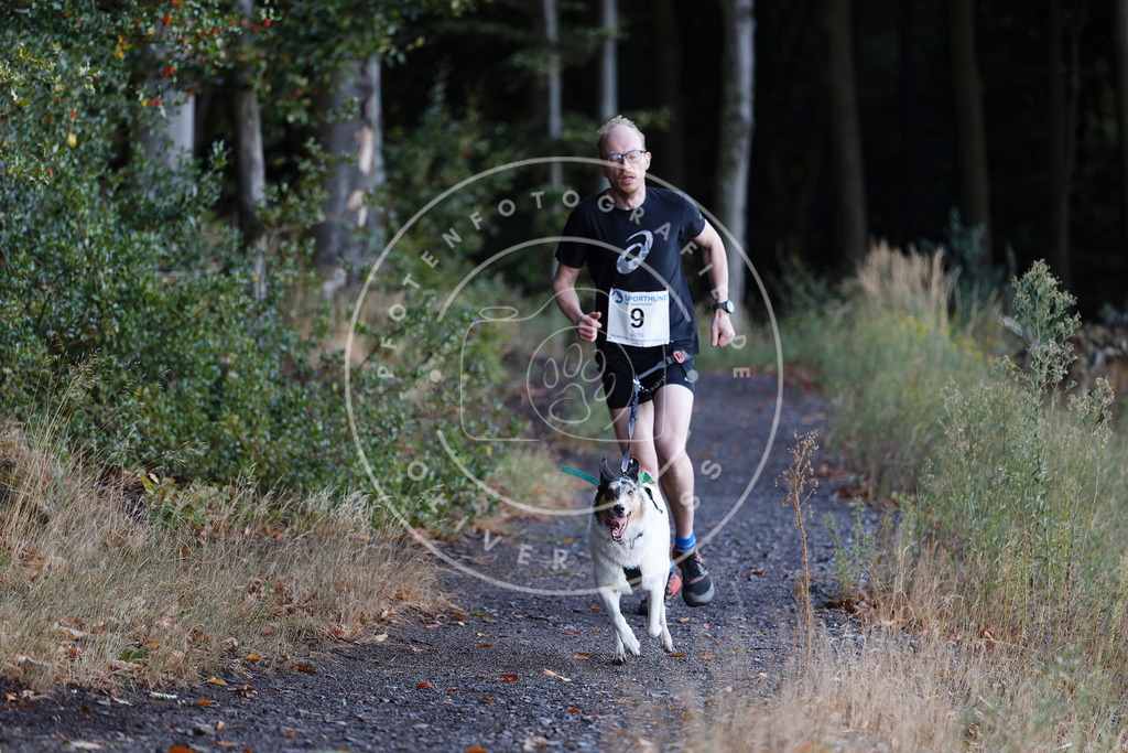 0L8A1364 | Hundefotografie, Tierfotograf, Pfotenfotografie, Fotoshooting Hund, Hunde Portrait, Hundesport, Hundeportraits, Heideshooting, Hunde, Sportfotograf, Hundefotograf, Turnierhundsport, THS,  - Realisiert mit Pictrs.com