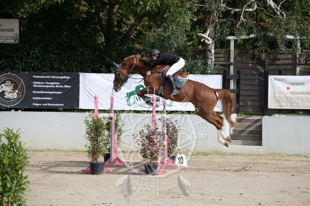 2B4A1274 | pixelfaenger - Realisiert mit Pictrs.com