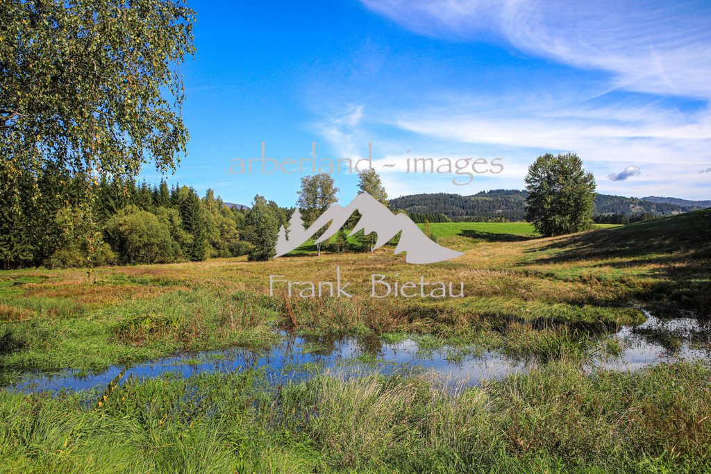 OE7A7822 | Medien- Sport- Entertainmentfotos