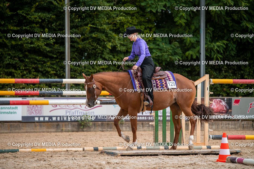 ZS3_9350 | dv-media-shop - Realisiert mit Pictrs.com