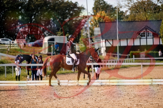 2026_10_03_Siefer-Hof_132856_Z63_90511189 | Professionelle Reitsport-, Turnier- und Eventfotografie von Robert Broda. Galerien mit ausgewählten und bearbeiteten Bildern direkt online ansehen und bestellen.