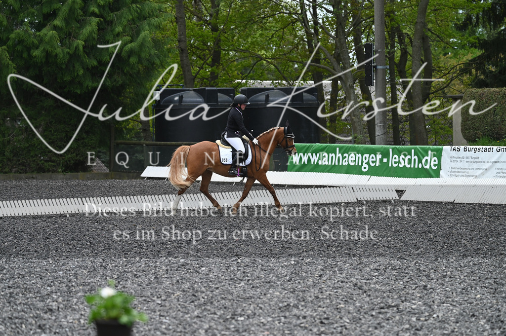 20230512_JK-Röhrsdorf-07-164 | Pferde- und Turnierfotografie in Westsachsen. Pferdeportraits, Auftragszeichnungen und intuitive Kunst.