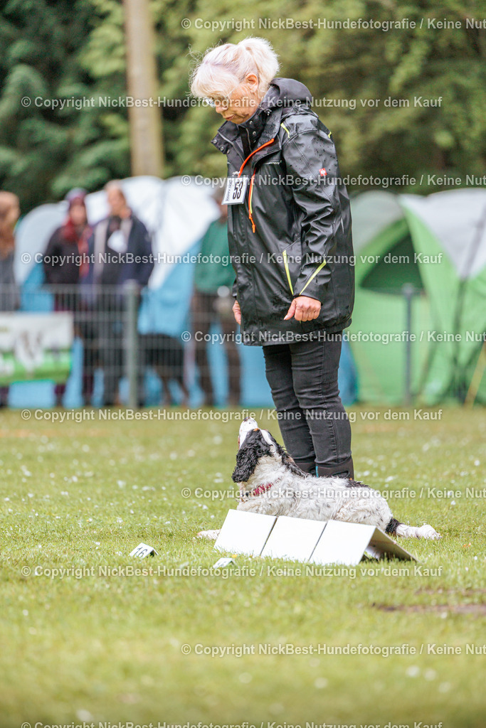 RO-Blumenthal-2026-Nickbest-Hundefotografie-0939 | Dein Hund! Dein Moment! Deine Erinnerungen! Hundefotografie in Bremen Blumenthal. Ich fange die besonderen Momente deines Vierbeiners ein – ob Indoor mit Blitzanlage oder in der freien Natur. Sicher dir dein Moment und dein Termin für eure Erinnerungen.